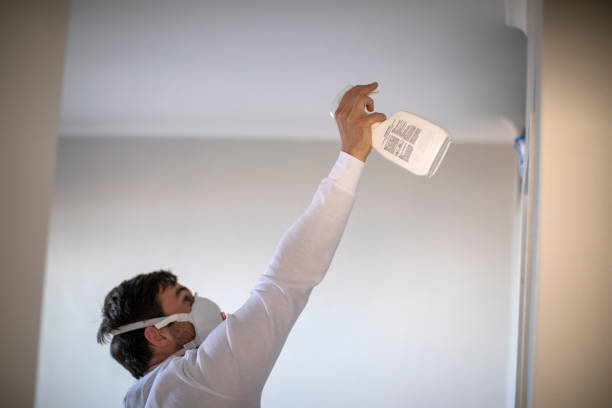 Best Professional Mold Removal  in Portsmouth, NH