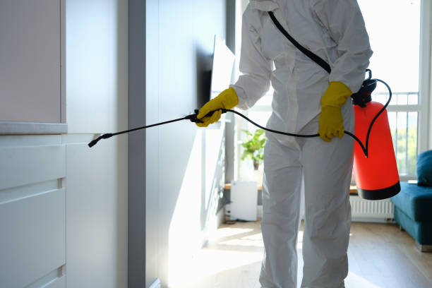Best Mold Removal Company Near Me  in Portsmouth, NH