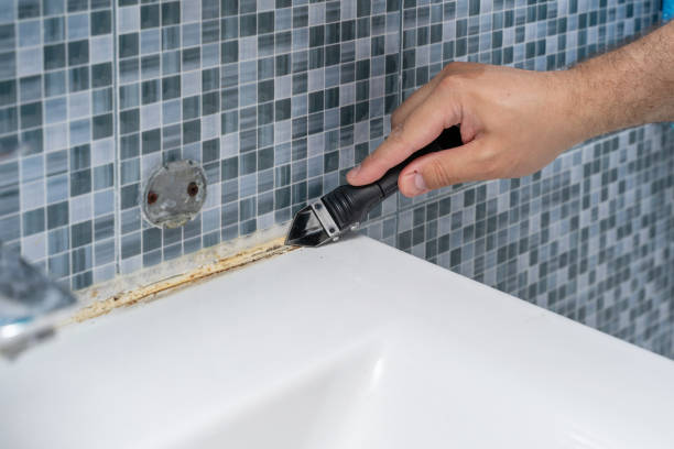 Best Mold Testing  in Portsmouth, NH